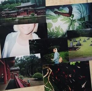 Meet your Posher, Dominga